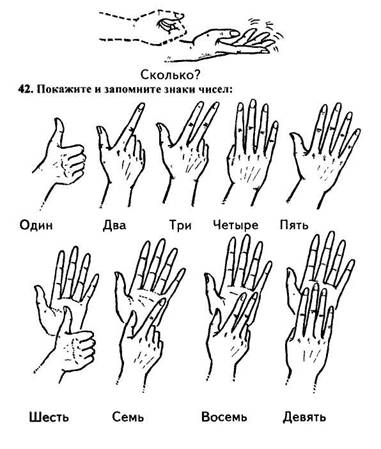 На сколько пальцев родах