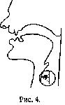 t_html_d1b67c0.png