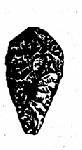 image100.gif
