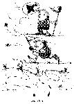 image062.gif
