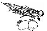 image062.png