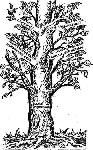 image001.jpg