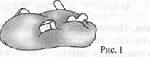 image002.jpg