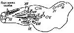image007.jpg