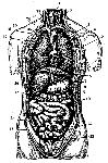 image178.png