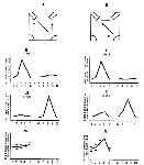 image148.gif