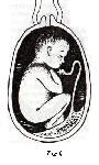 image013.png