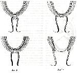 image023.png