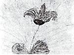 image026.jpg