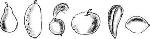 image002.jpg
