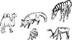 image046.jpg