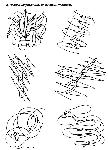 image076.jpg