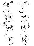 image146.jpg