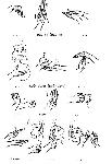 image150.jpg