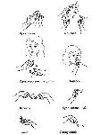 image196.jpg