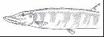 image102.gif