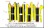 image010.gif