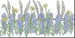 image122.gif