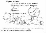 image250.gif